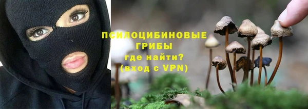 молекула духа Бугульма