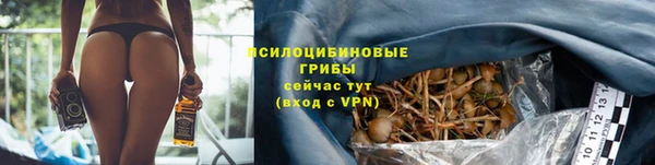 соль ск Бронницы