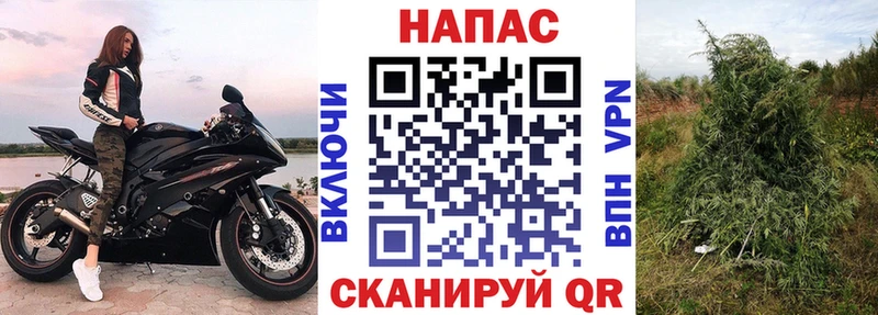 наркошоп  Данилов  Канабис VHQ 